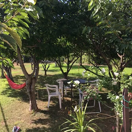 Casa Vacanze Nonna Lina